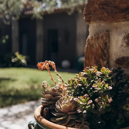 Hotel La D'andrea